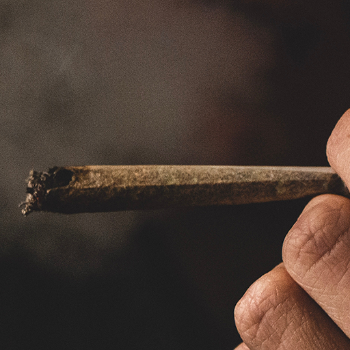 Cannabis Categories Pre-Rolls